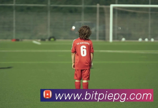 数据防护可视化